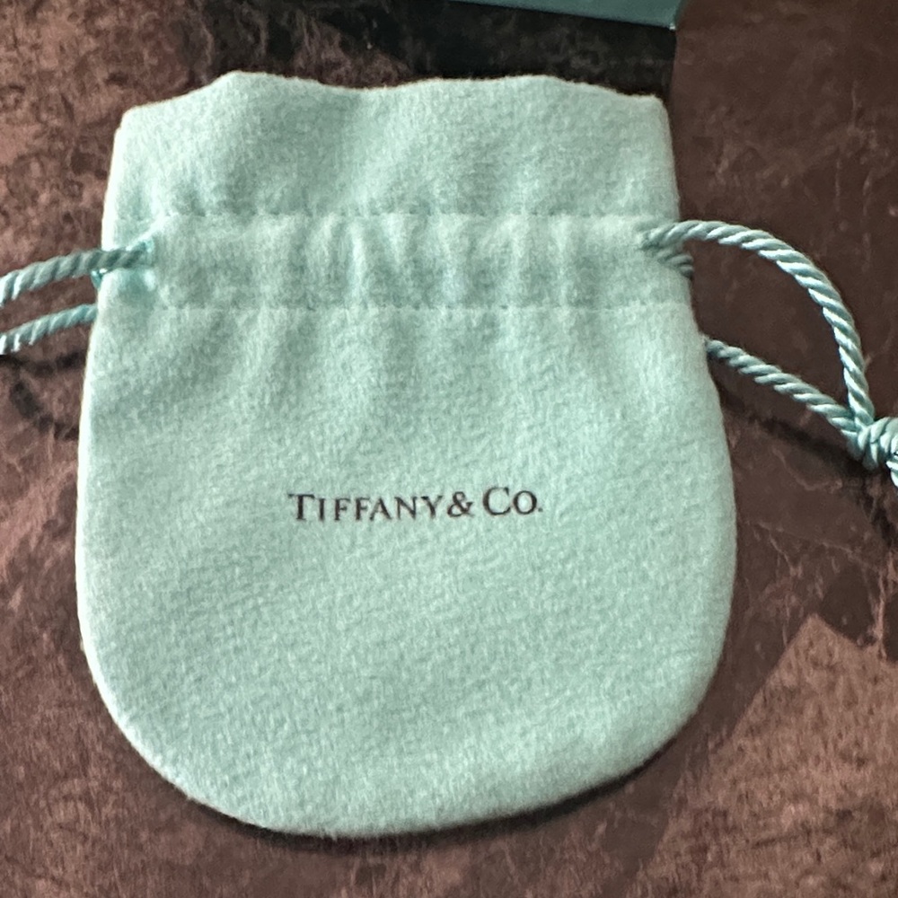 Tiffany & Co Heart Locket and Chain - Picture 8 of 15